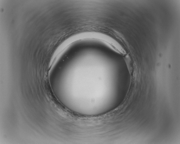 X0000053120025200508012203