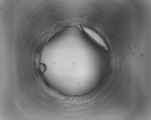 X0000053120026200508012203