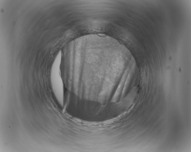 X0000053120029200508012203