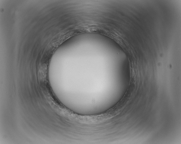 X0000053120030200508012203