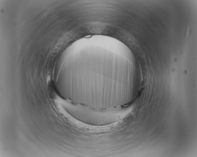 X0000053120031200508012203