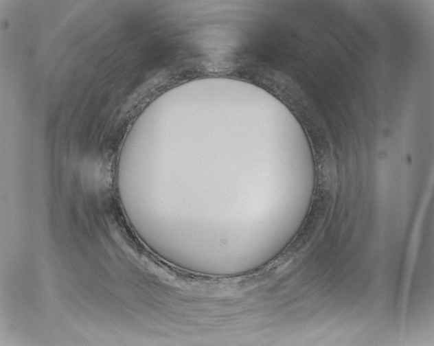 X0000053120032200508012203