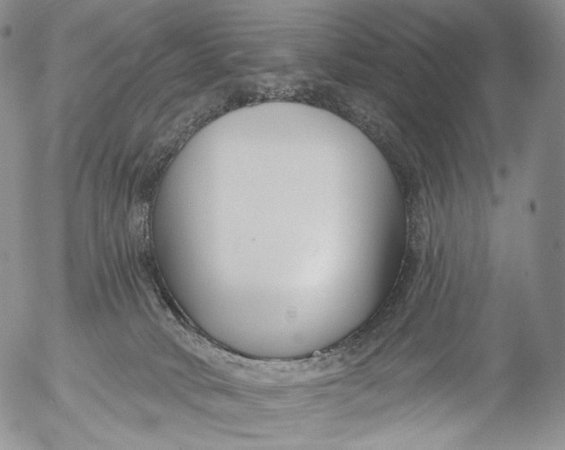 X0000053120034200508012203