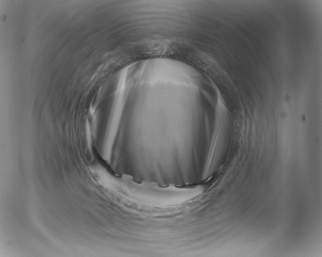 X0000053120035200508012203