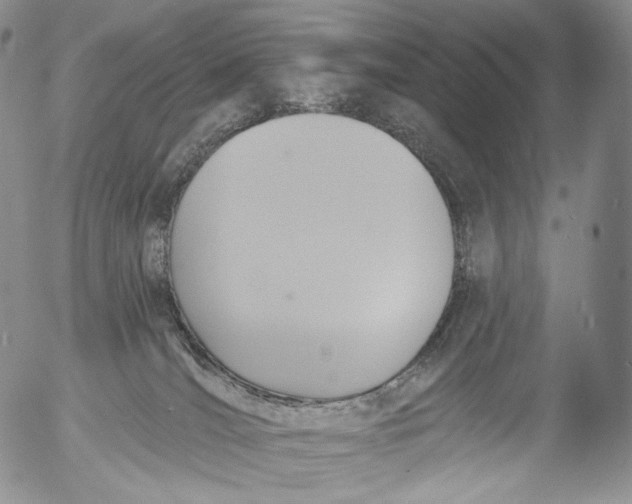 X0000053120036200508012203