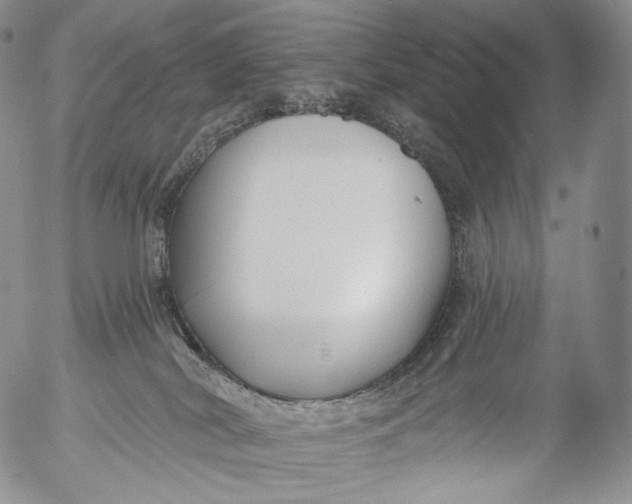 X0000053120038200508012203