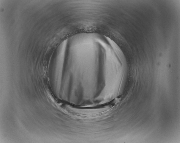 X0000053120039200508012203