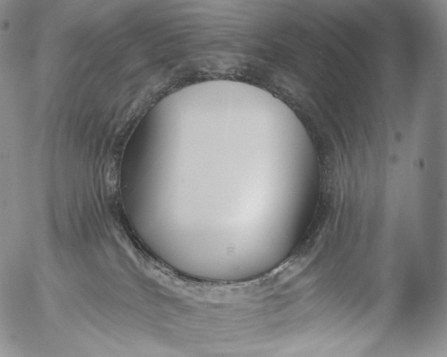 X0000053120040200508012203