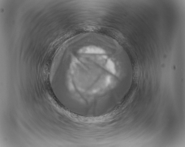 X0000053120043200508012203