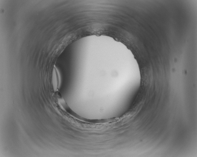 X0000053120044200508012203