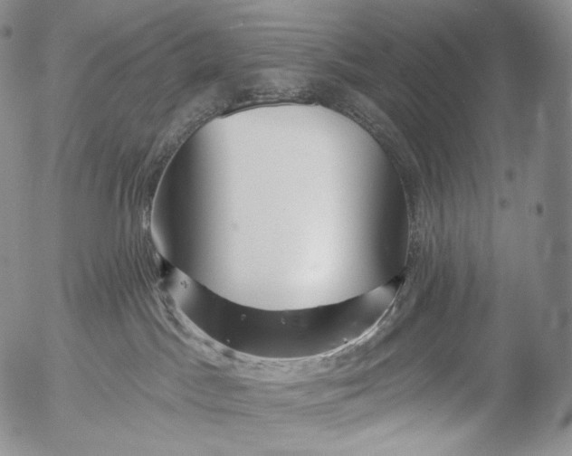 X0000053120045200508012203