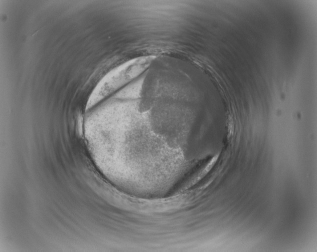 X0000053120046200508012203