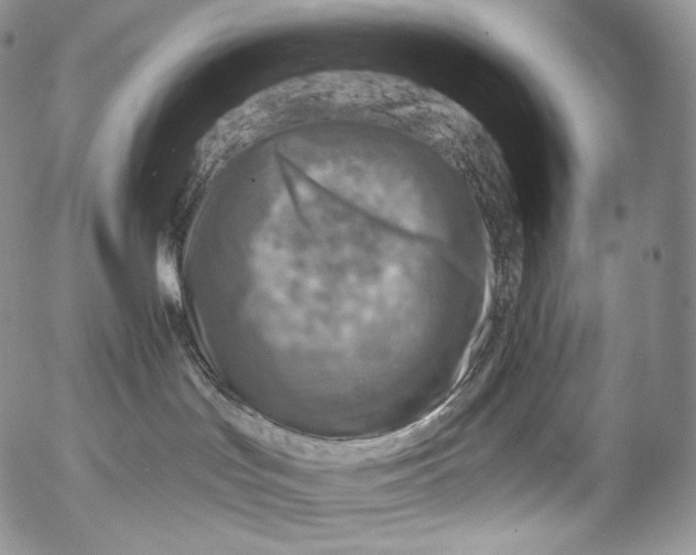 X0000053120047200508012203