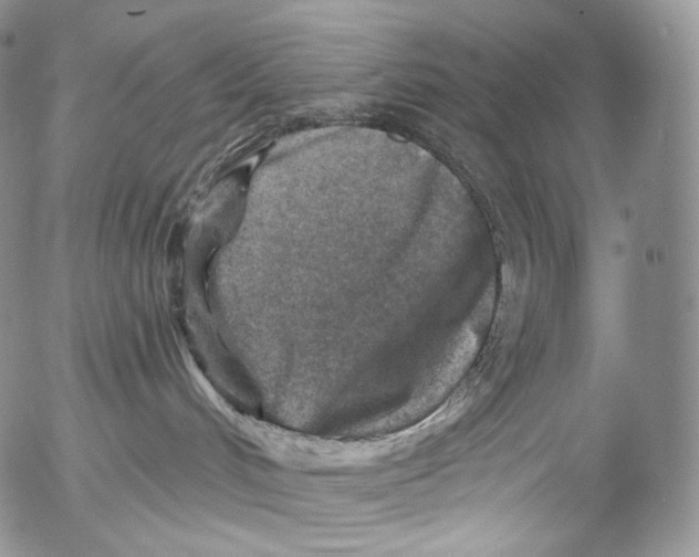 X0000053120048200508012203