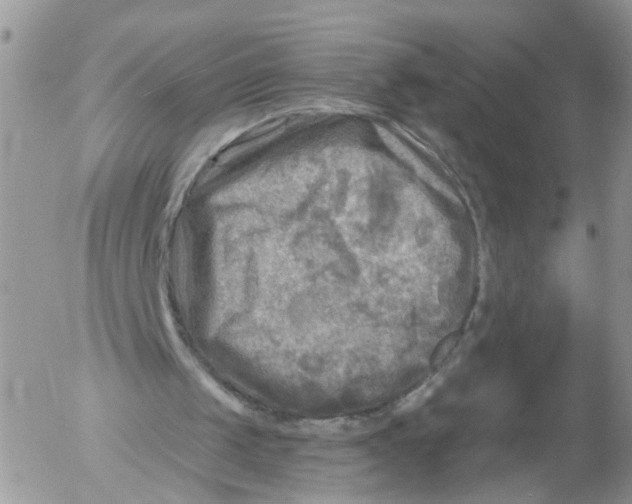 X0000053120049200508012202