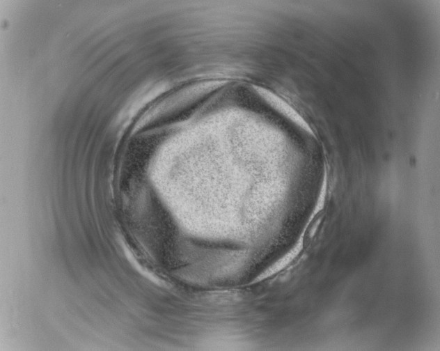 X0000053120050200508012202