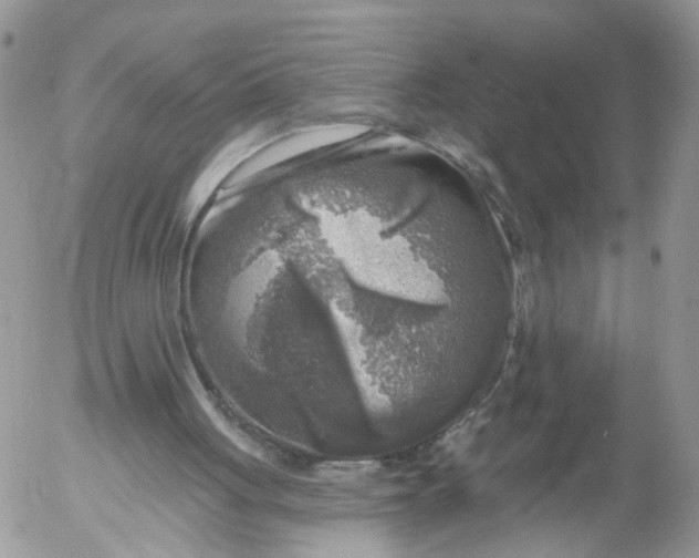 X0000053120051200508012202