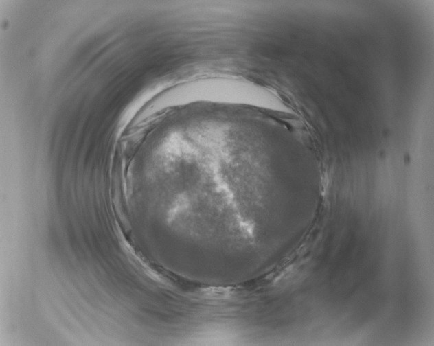 X0000053120052200508012202