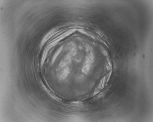 X0000053120053200508012202