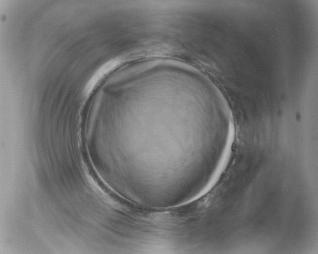 X0000053120054200508012202