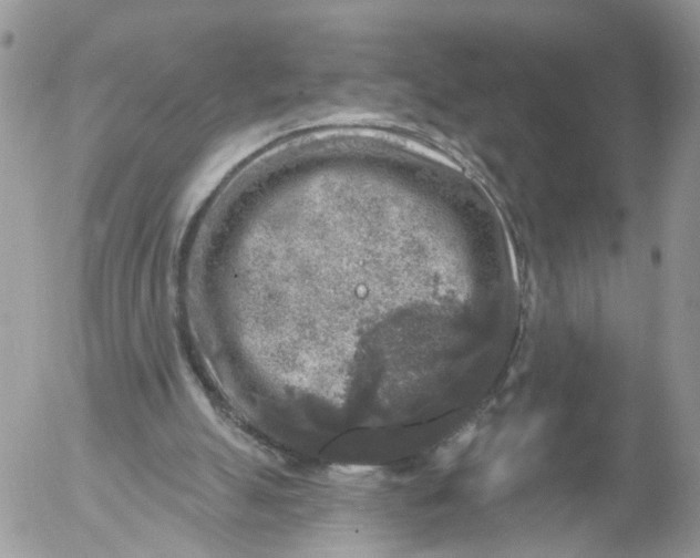 X0000053120055200508012202