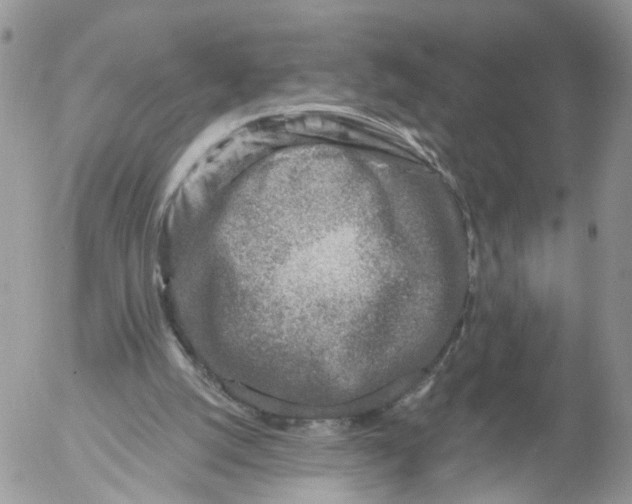 X0000053120056200508012202