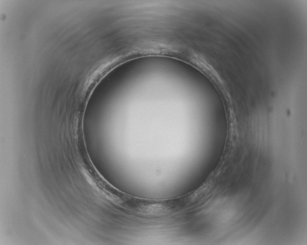 X0000053120058200508012202