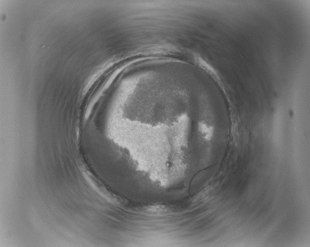 X0000053120059200508012202