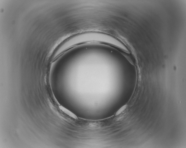 X0000053120060200508012202