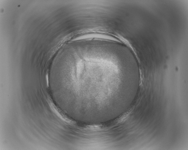 X0000053120061200508012202