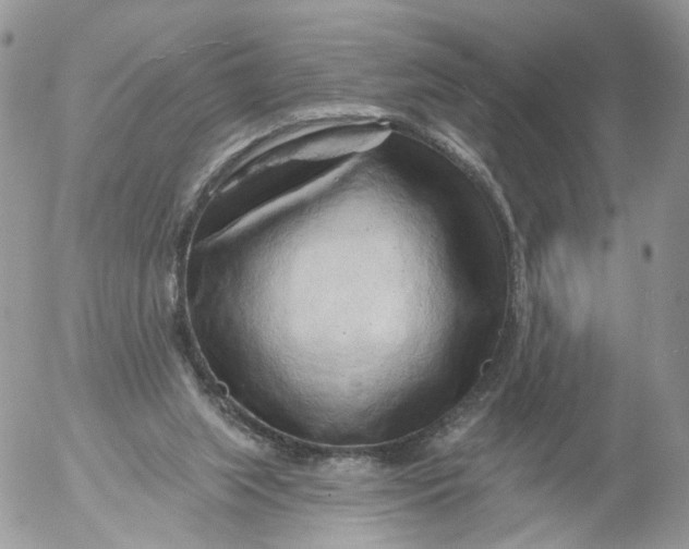 X0000053120063200508012202