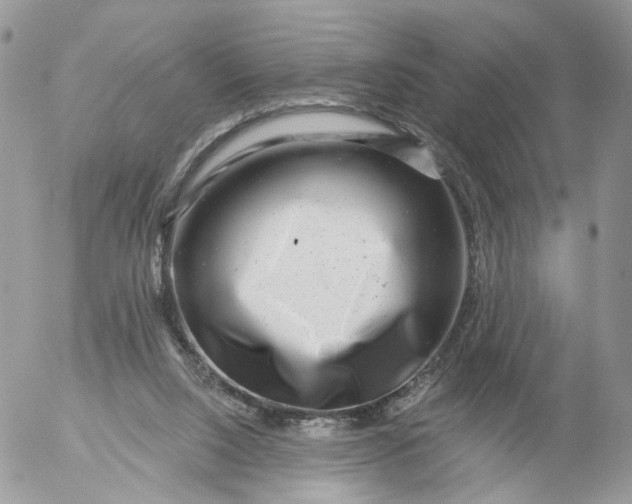 X0000053120064200508012202