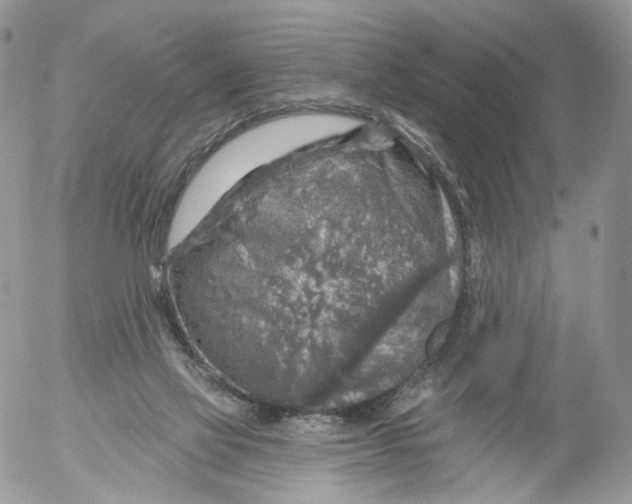 X0000053120069200508012202