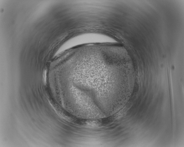 X0000053120070200508012202