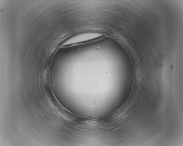 X0000053120071200508012202