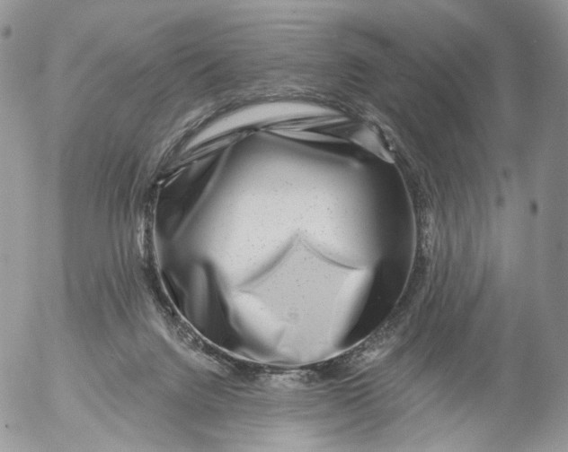 X0000053120072200508012202