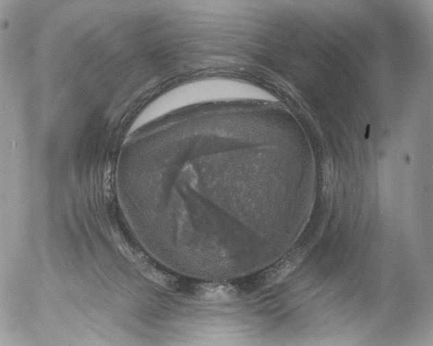 X0000053120073200508012202