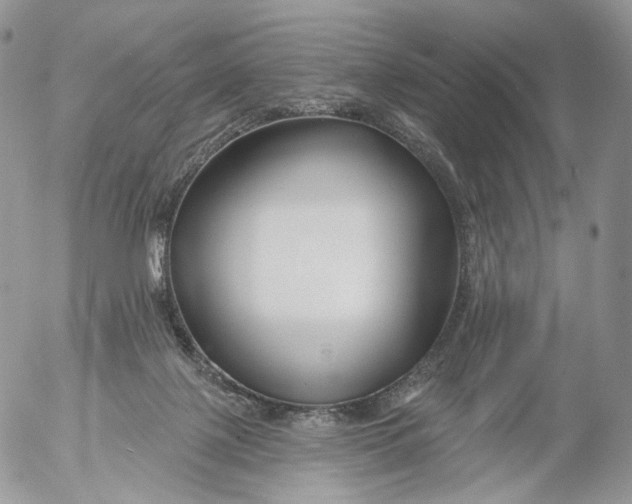 X0000053120075200508012202