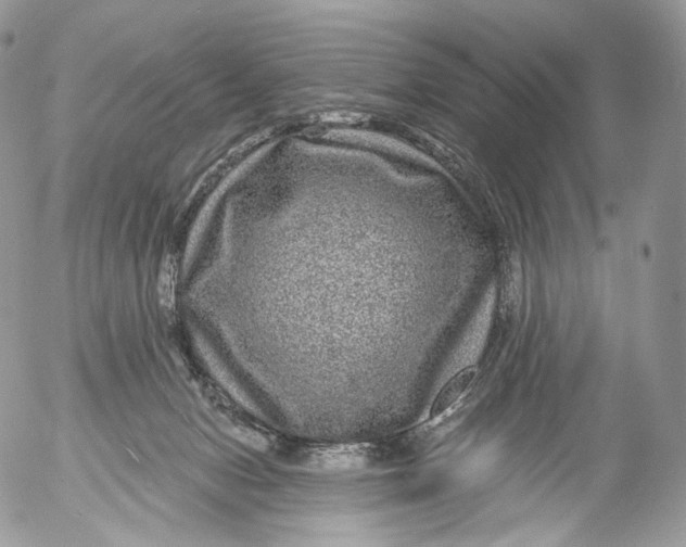 X0000053120078200508012202