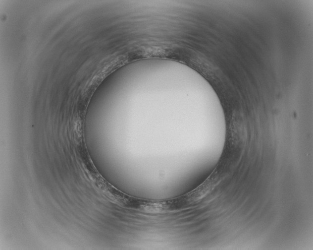 X0000053120079200508012202