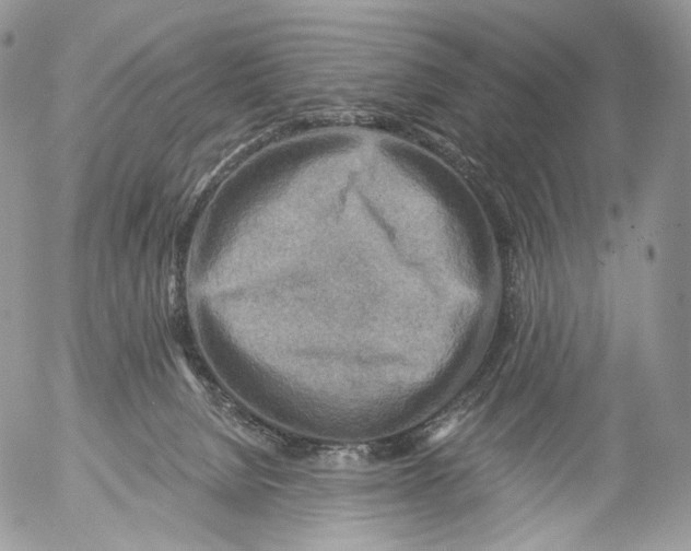 X0000053120080200508012202