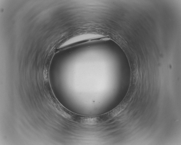 X0000053120081200508012202