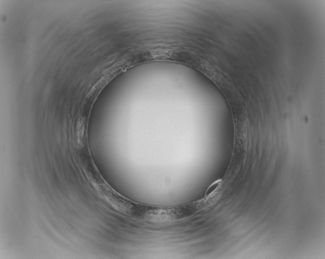 X0000053120082200508012202