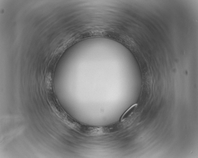 X0000053120083200508012202