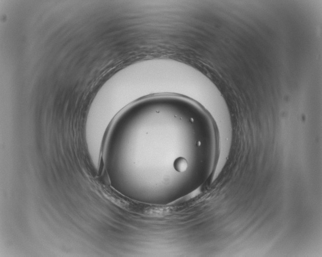 X0000053120084200508012202