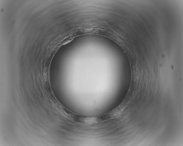 X0000053120085200508012202