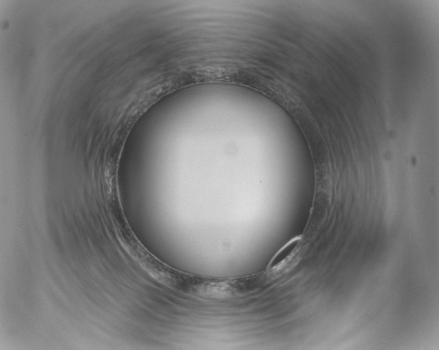 X0000053120086200508012202