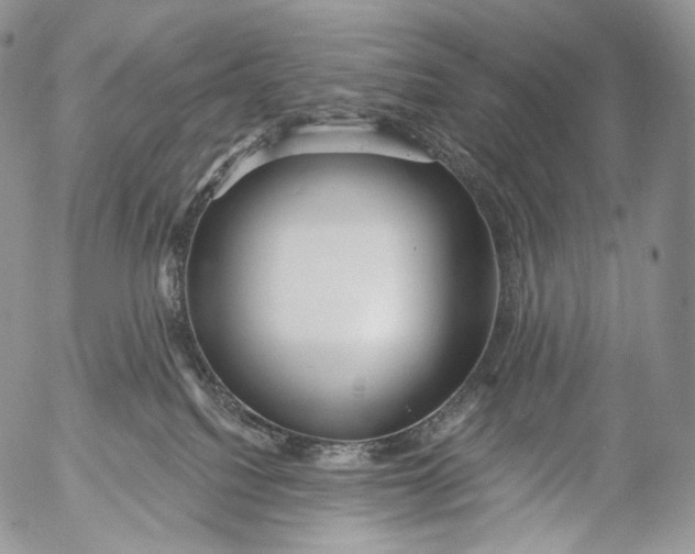 X0000053120088200508012202