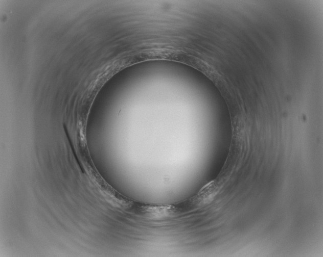 X0000053120089200508012203