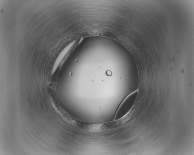 X0000053120090200508012203